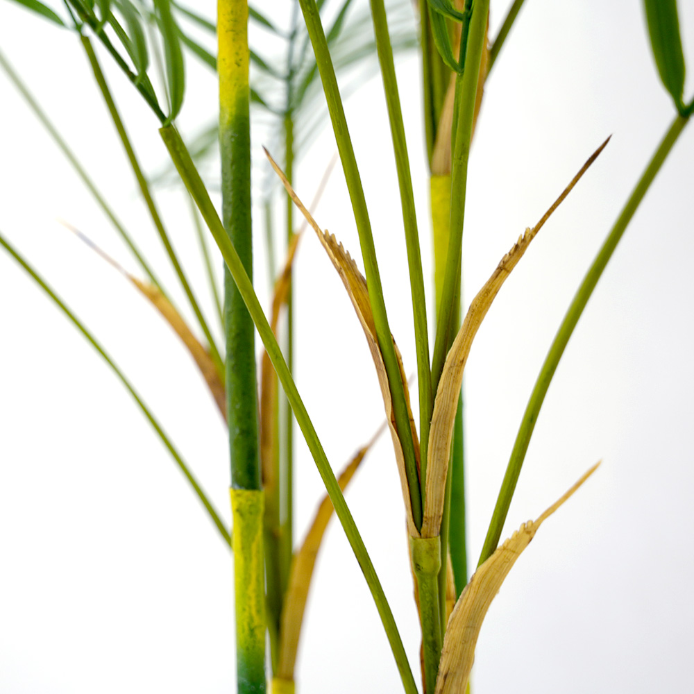 3 Artificial Palm Tree