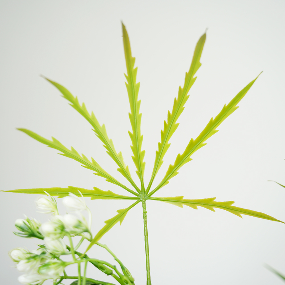 5 2-pole peacock wood potted plant