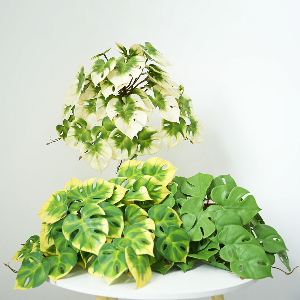 1 Simulation Turtle Back Leaf