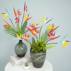 simulation Birds Of Paradise