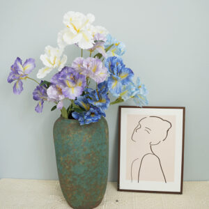 simulation of iris-3 flower