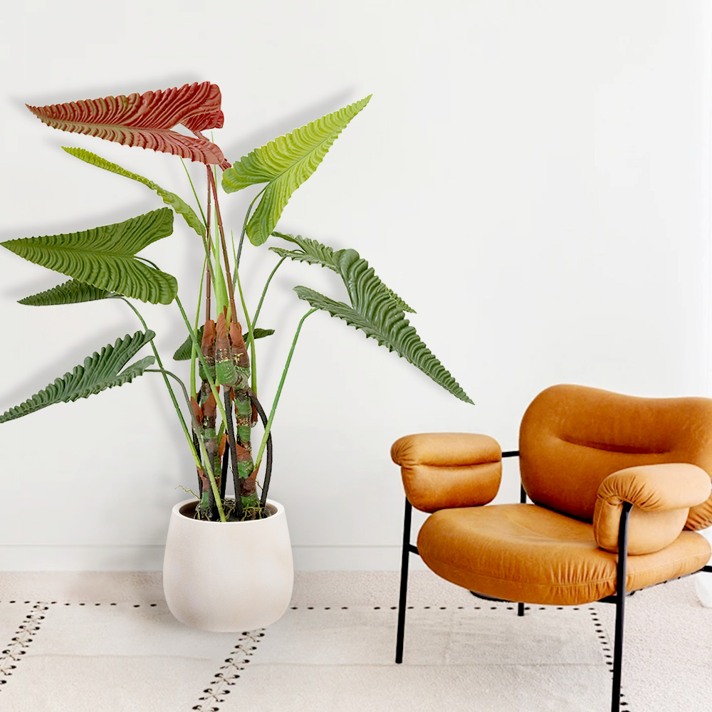 5 Tropical Palm Tree