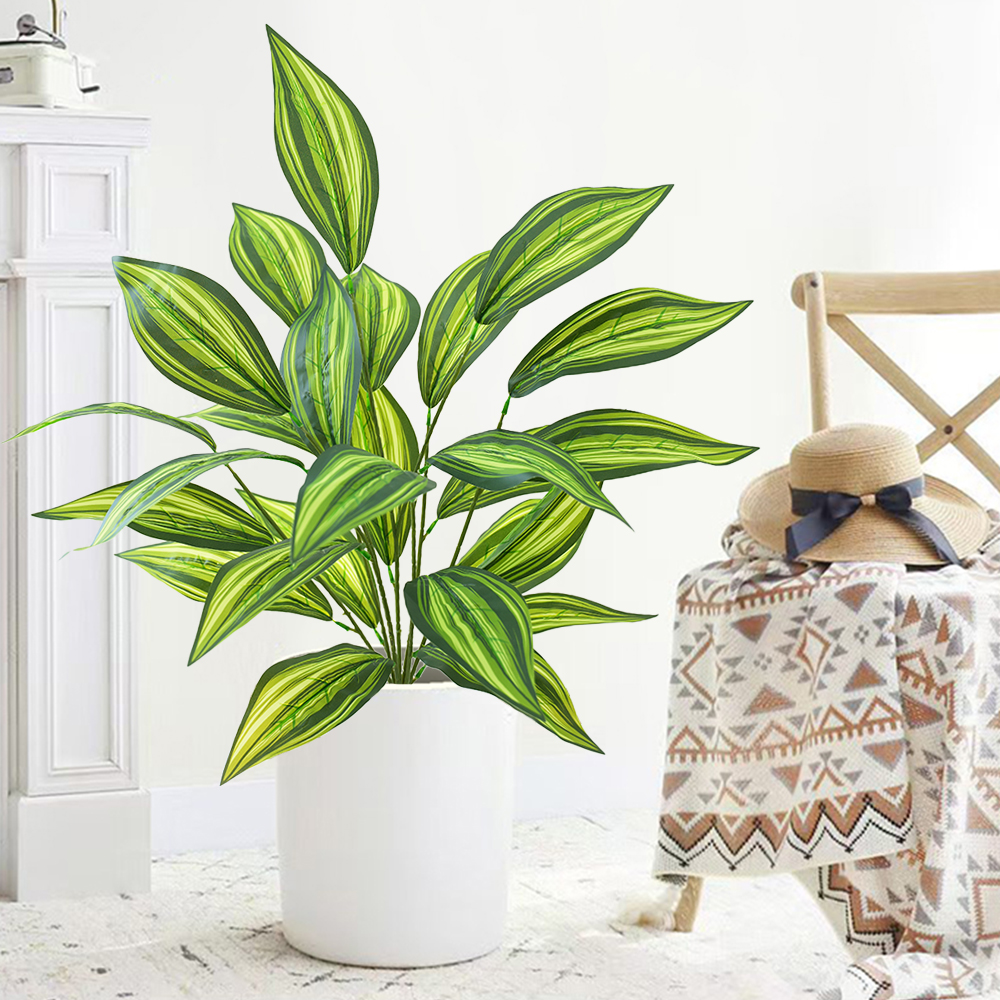 17 Green plant Brazilian taro leaves