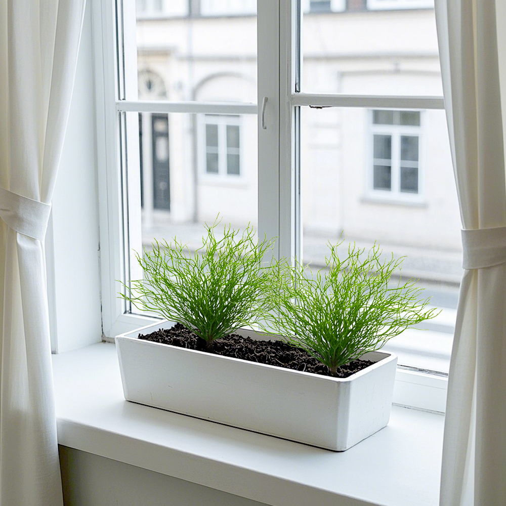 Eulaliopsis binata simulated green plant