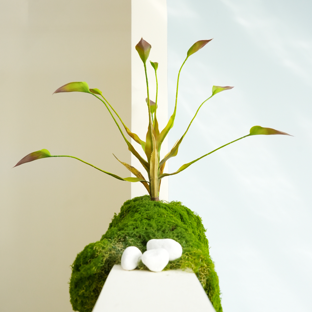 Dripping Guanyin Leaves