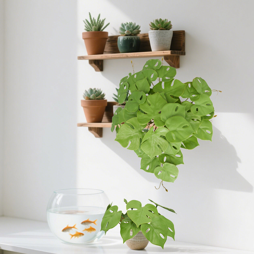 1 Simulation Turtle Back Leaf