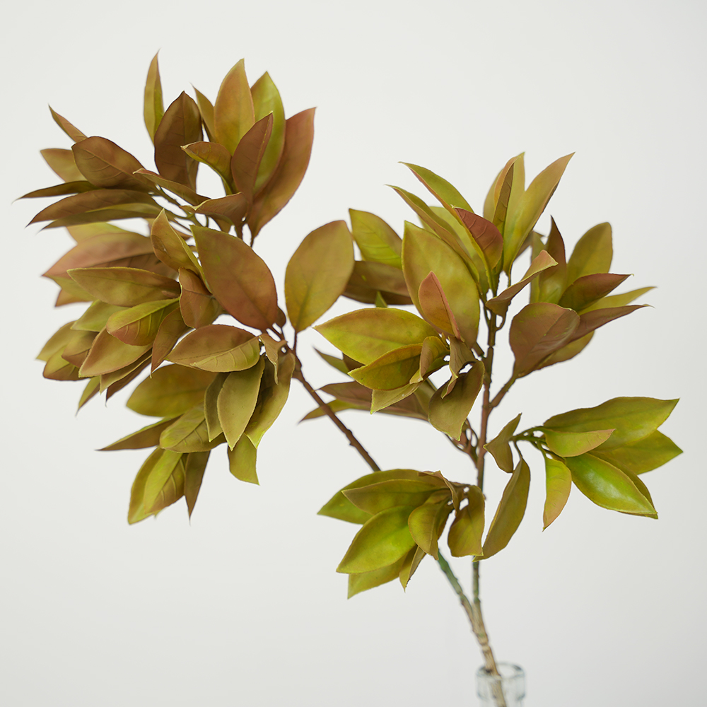 17 Simulated two-pronged apple leaf