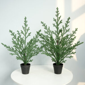 Christmas simulation Norfolk pine