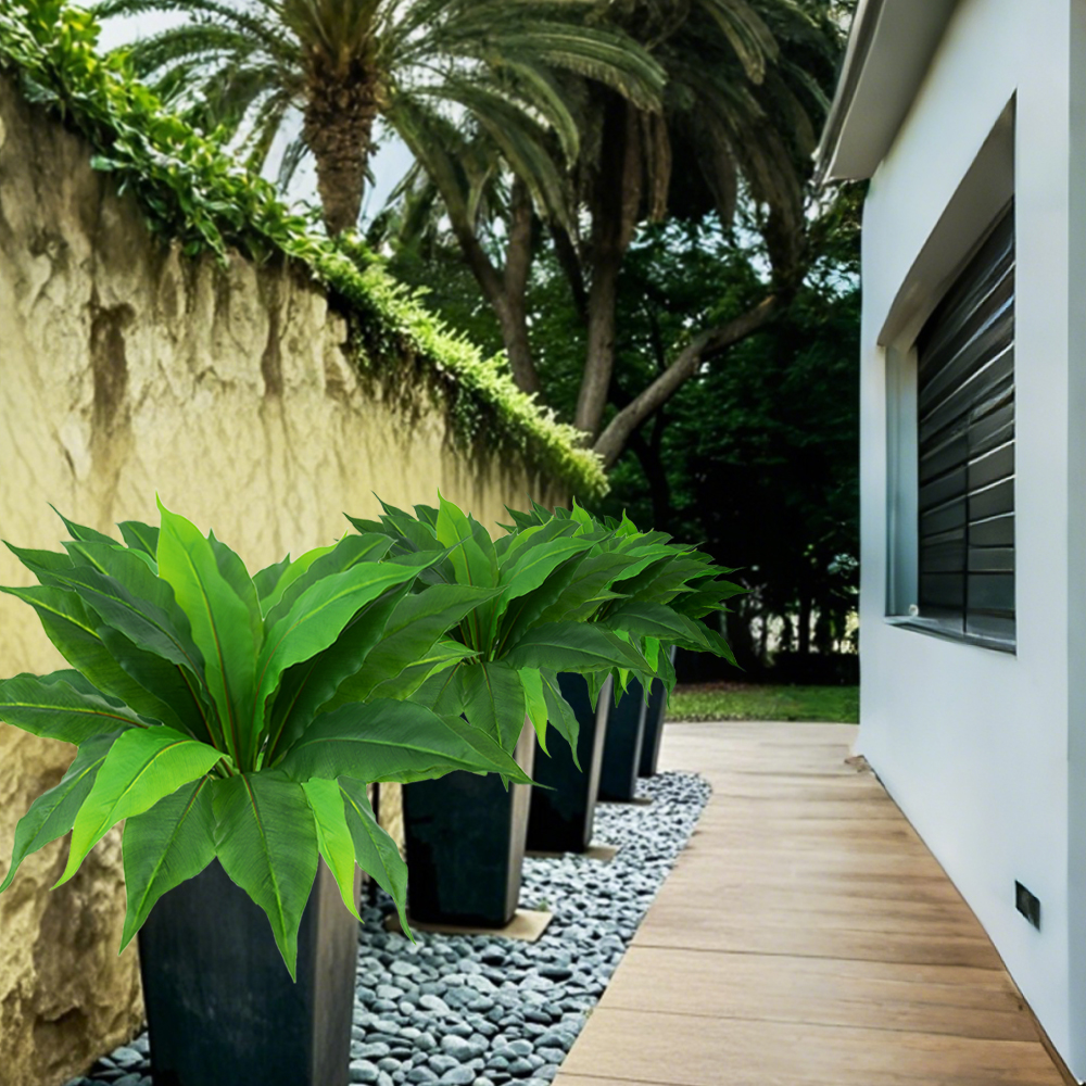 Simulation of green plant Brazilian wood