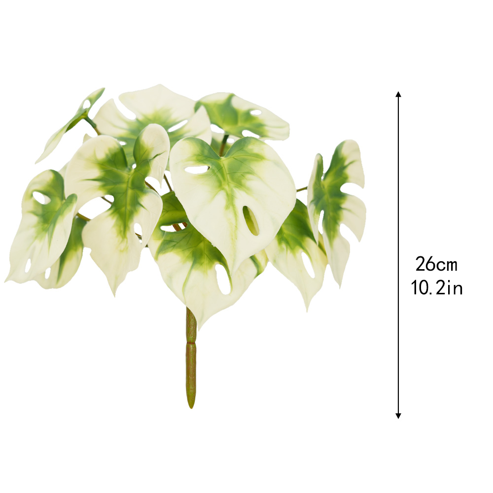 Simulation Turtle Back Leaf