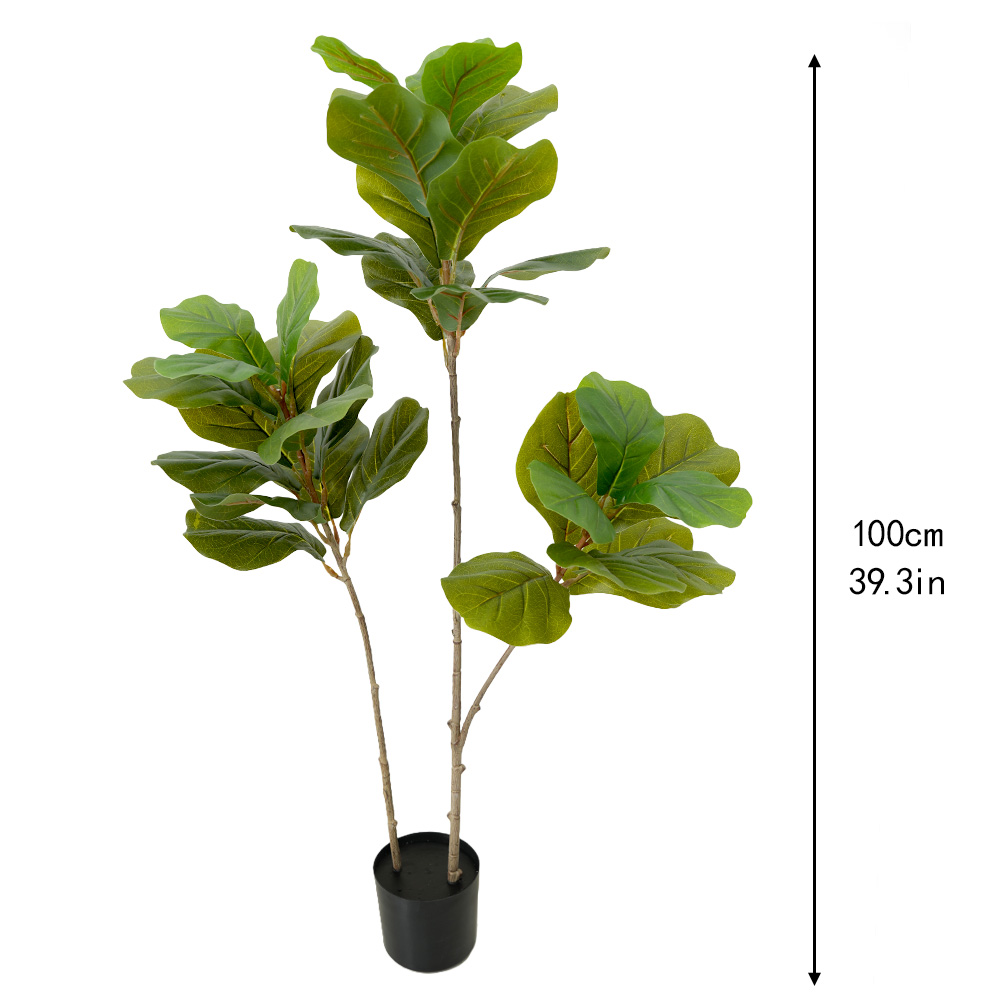 artificial tropical tree Ficus mandshurica