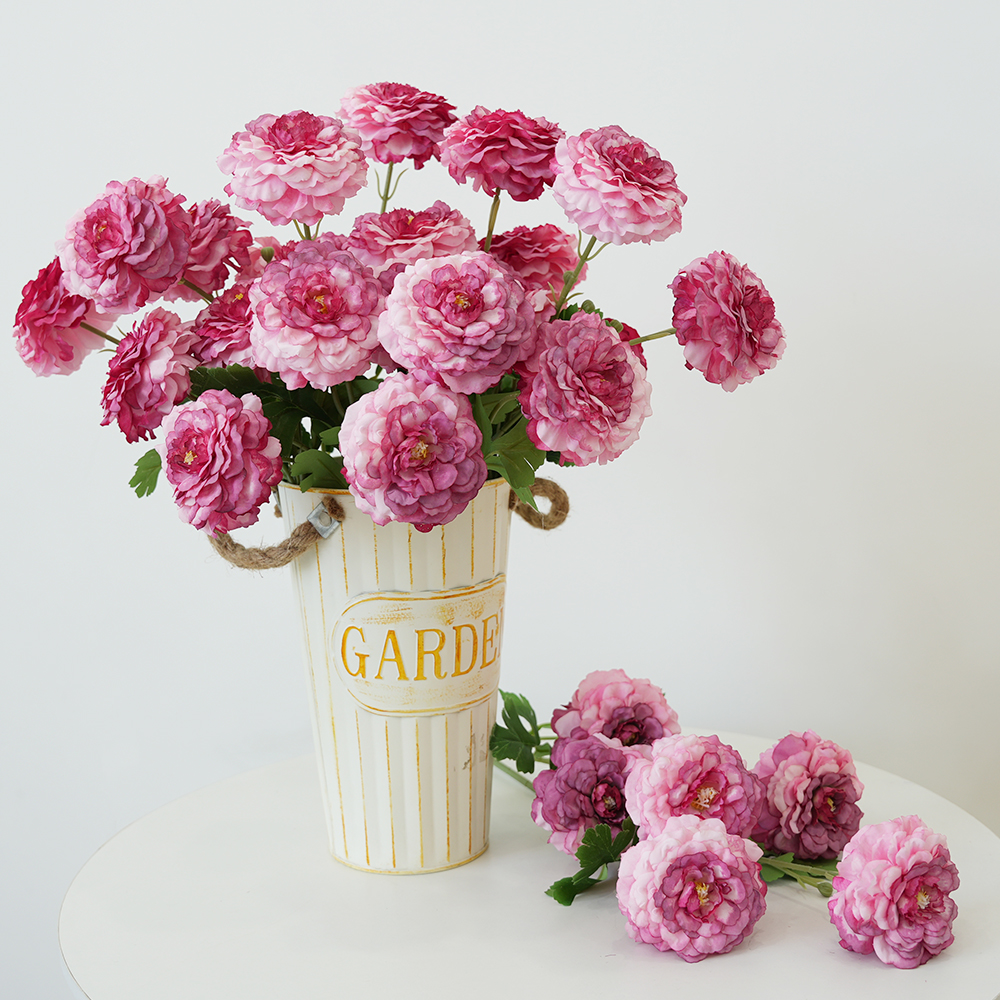 20 Simulation 3 koi fish