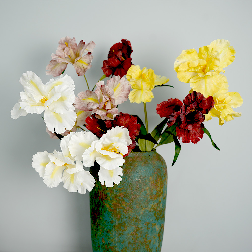 simulation of iris-3 flower