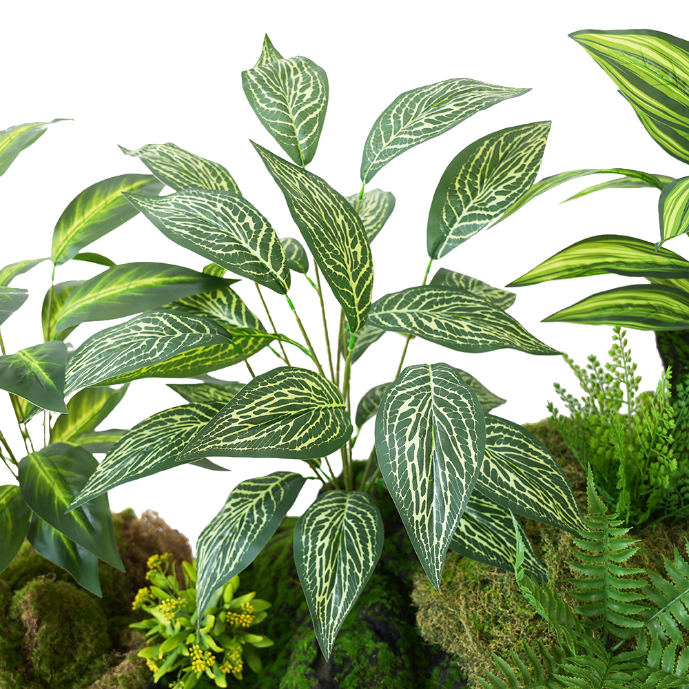 Green plant Brazilian taro leaves