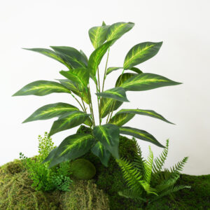 Green plant Brazilian taro leaves