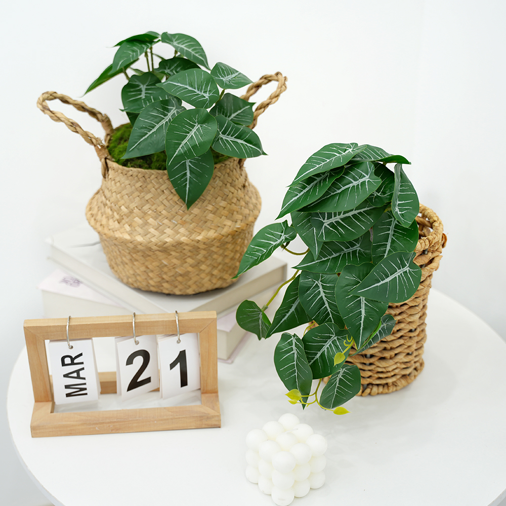 Small Taro Simulation