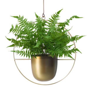 Artificial Fern Grass