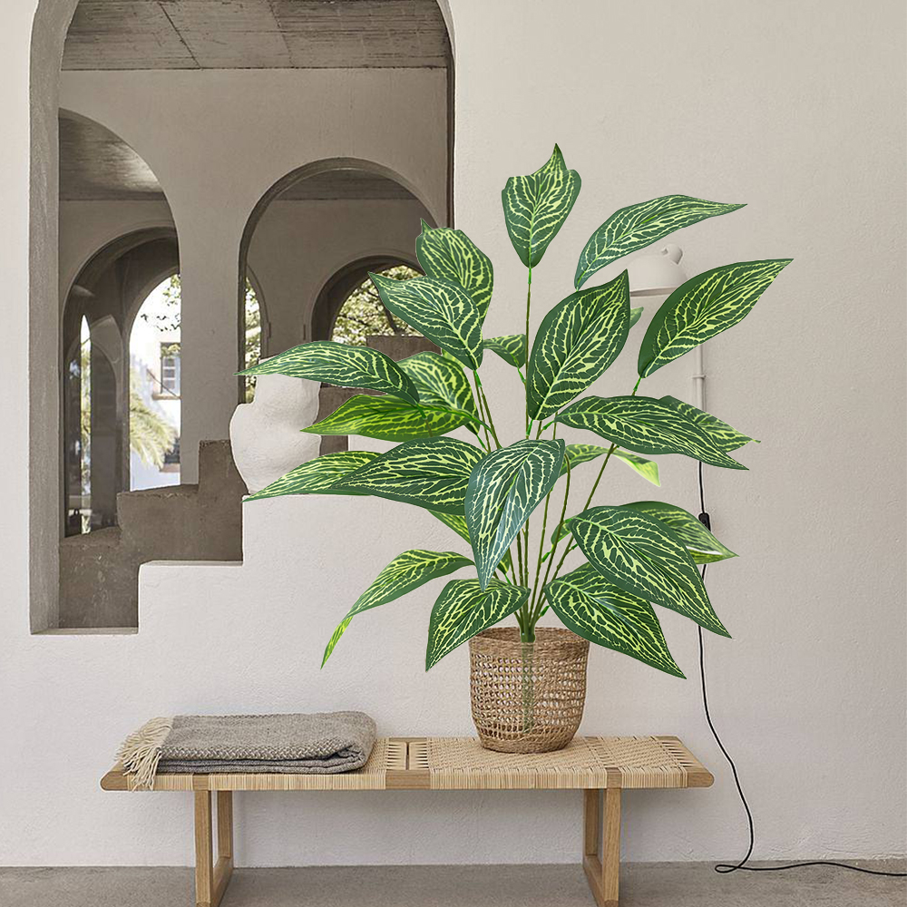 17 Green plant Brazilian taro leaves