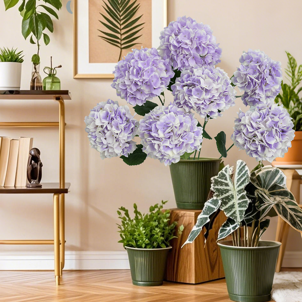 Simulation Anna hydrangea