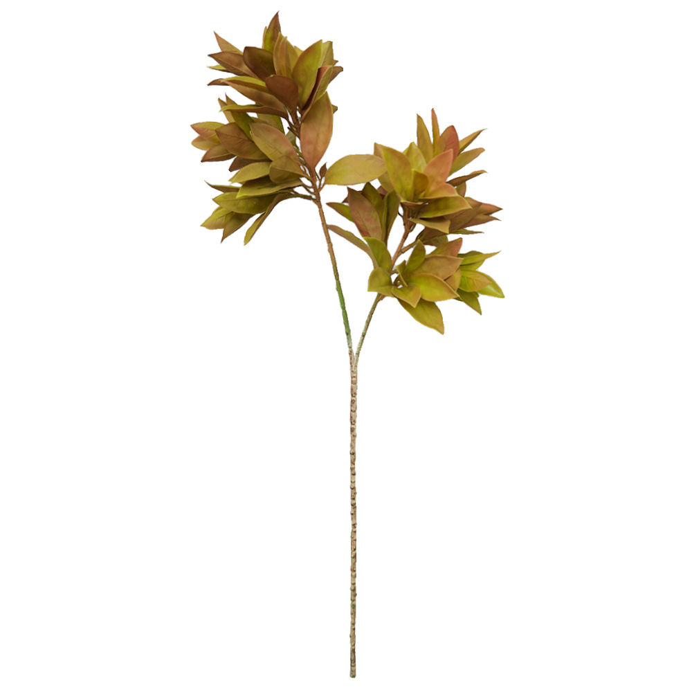 Simulated two-pronged apple leaf