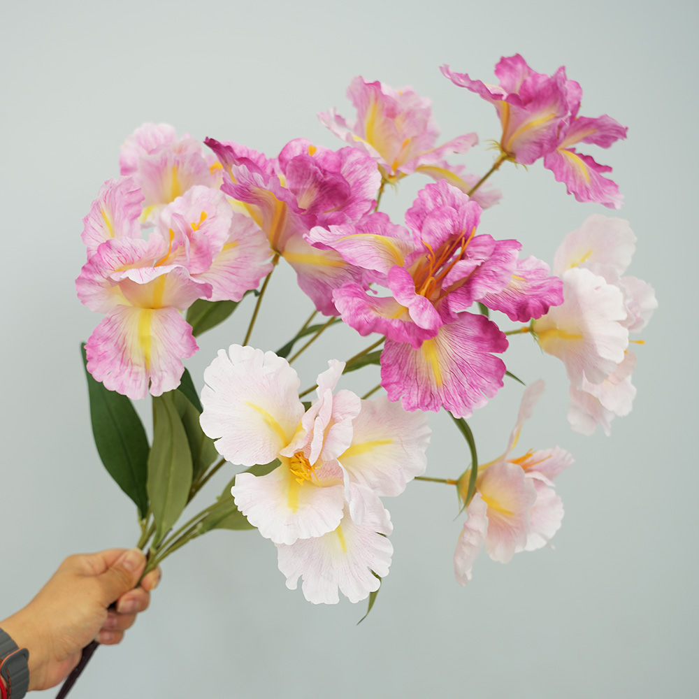 simulation of iris-3 flower