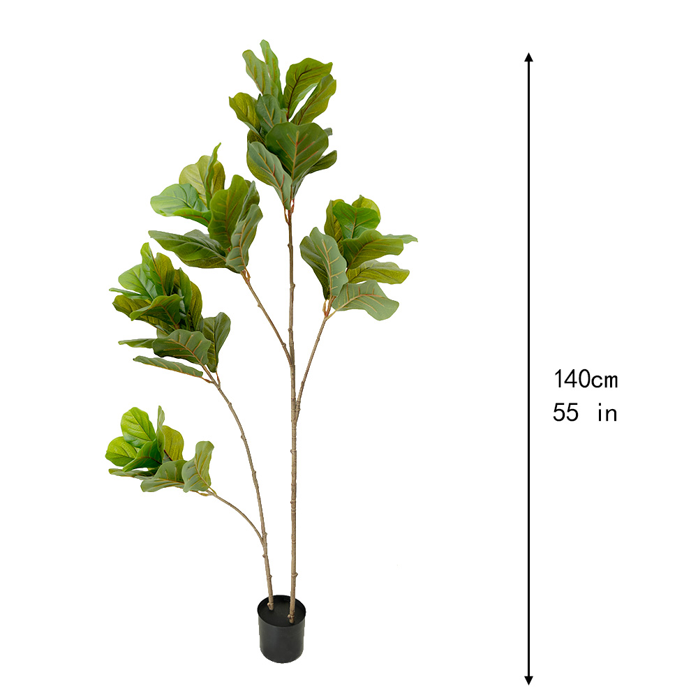 artificial tropical tree Ficus mandshurica