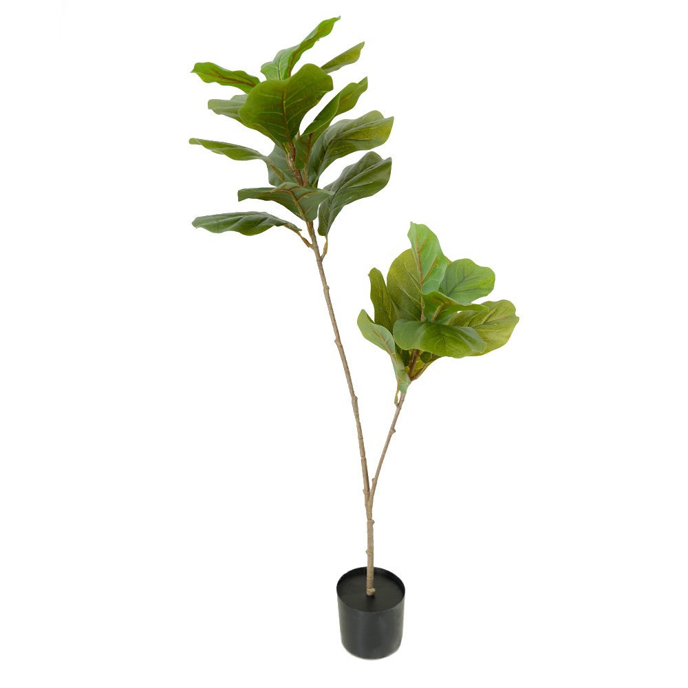 artificial tropical tree Ficus mandshurica