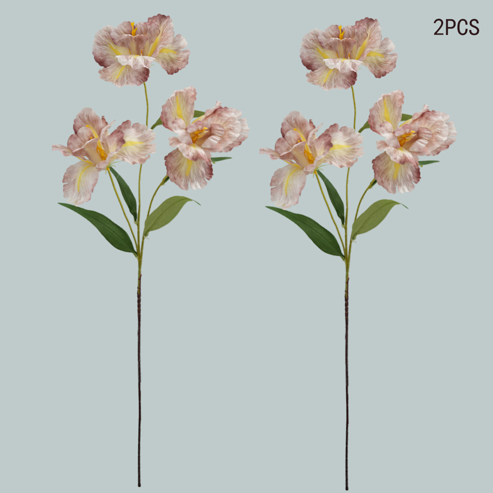 simulation of iris-3 flower