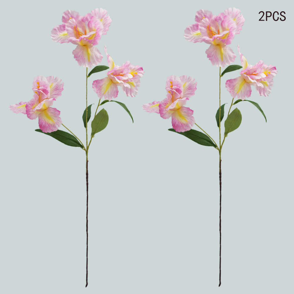 simulation of iris-3 flower