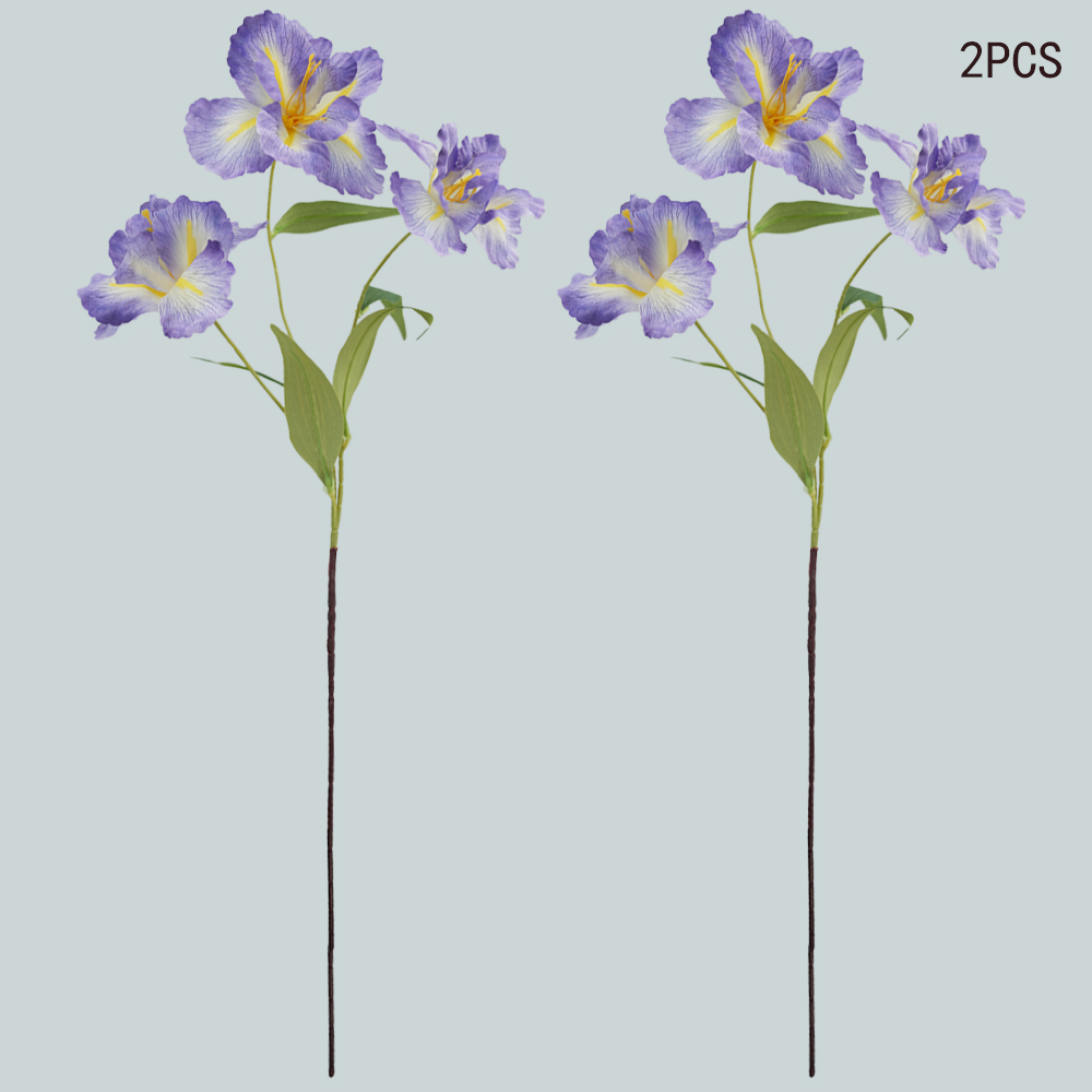 simulation of iris-3 flower