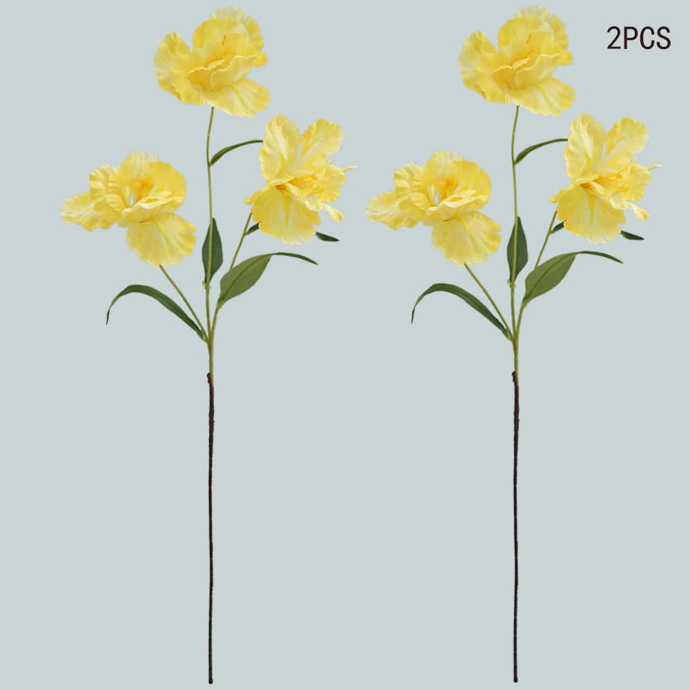 simulation of iris-3 flower