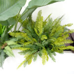 Artificial Plants Artificial Fern