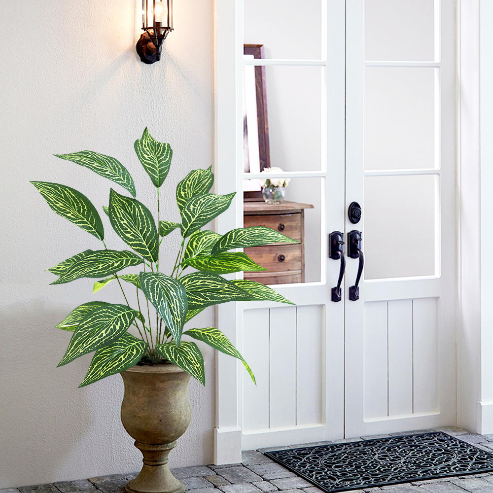 17 Green plant Brazilian taro leaves