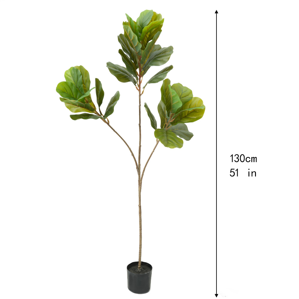 artificial tropical tree Ficus mandshurica