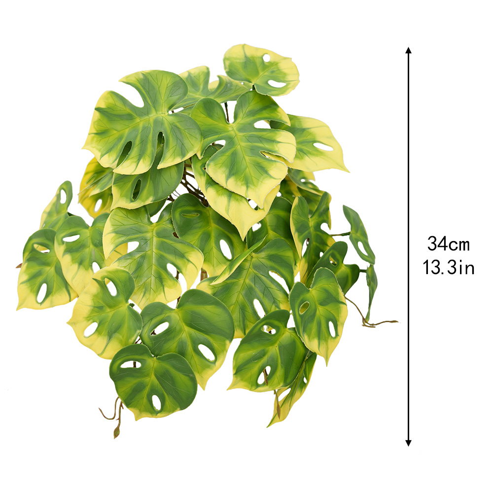 Simulation Turtle Back Leaf