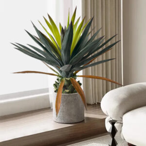 Simulation sisal potted