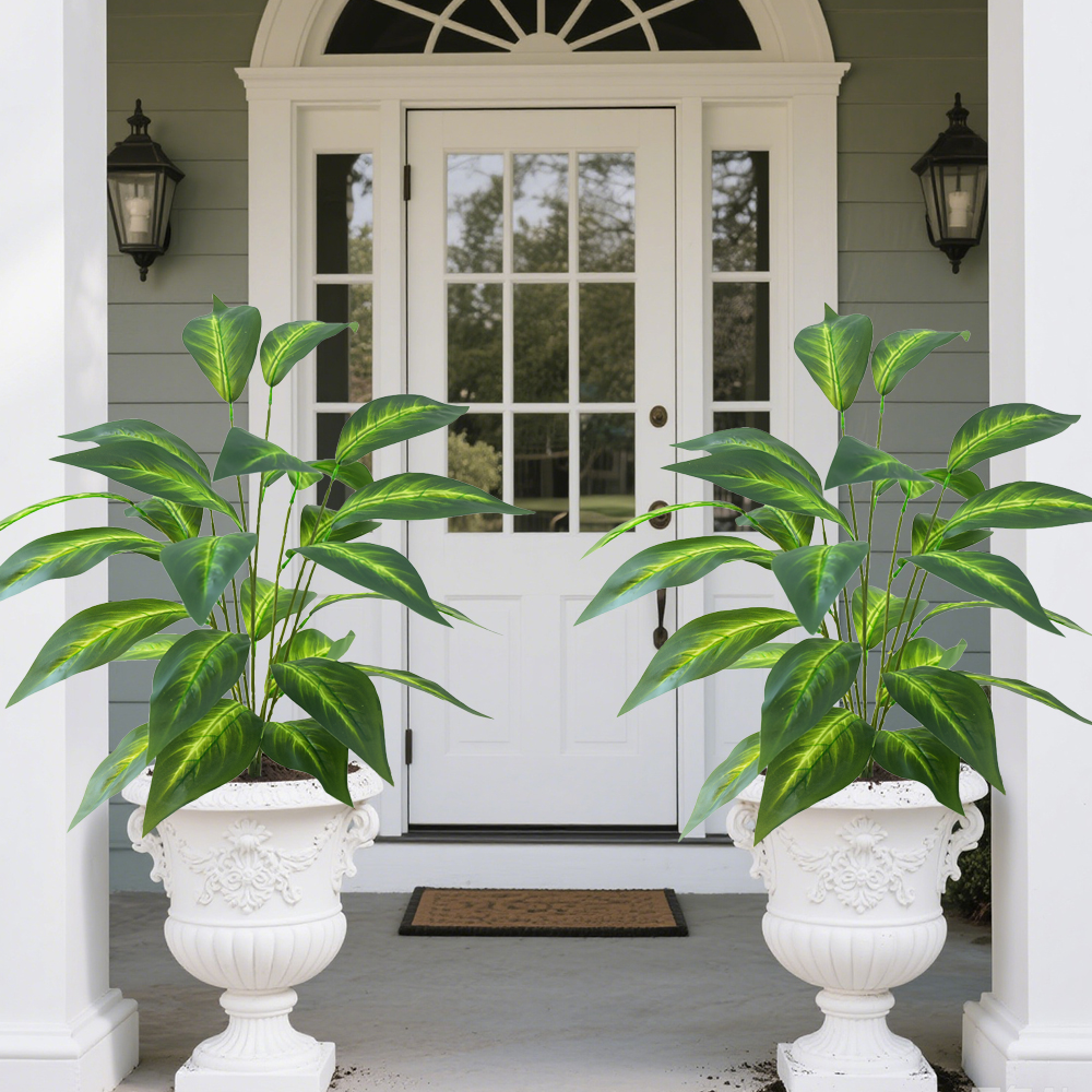 17 Green plant Brazilian taro leaves