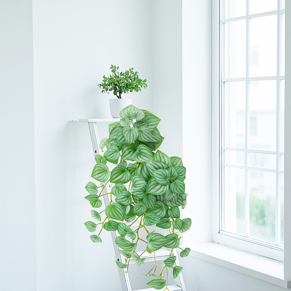 1 Artificial plant wall hanging