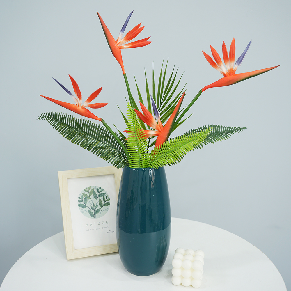 simulation Birds Of Paradise