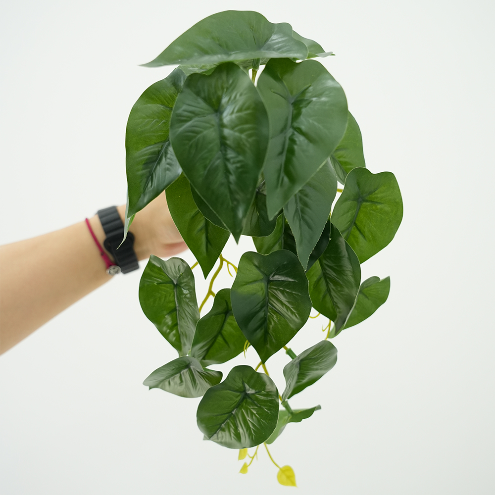 3 Small Taro Simulation