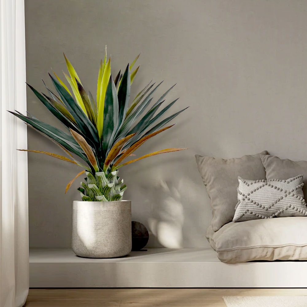 5 Simulation sisal potted