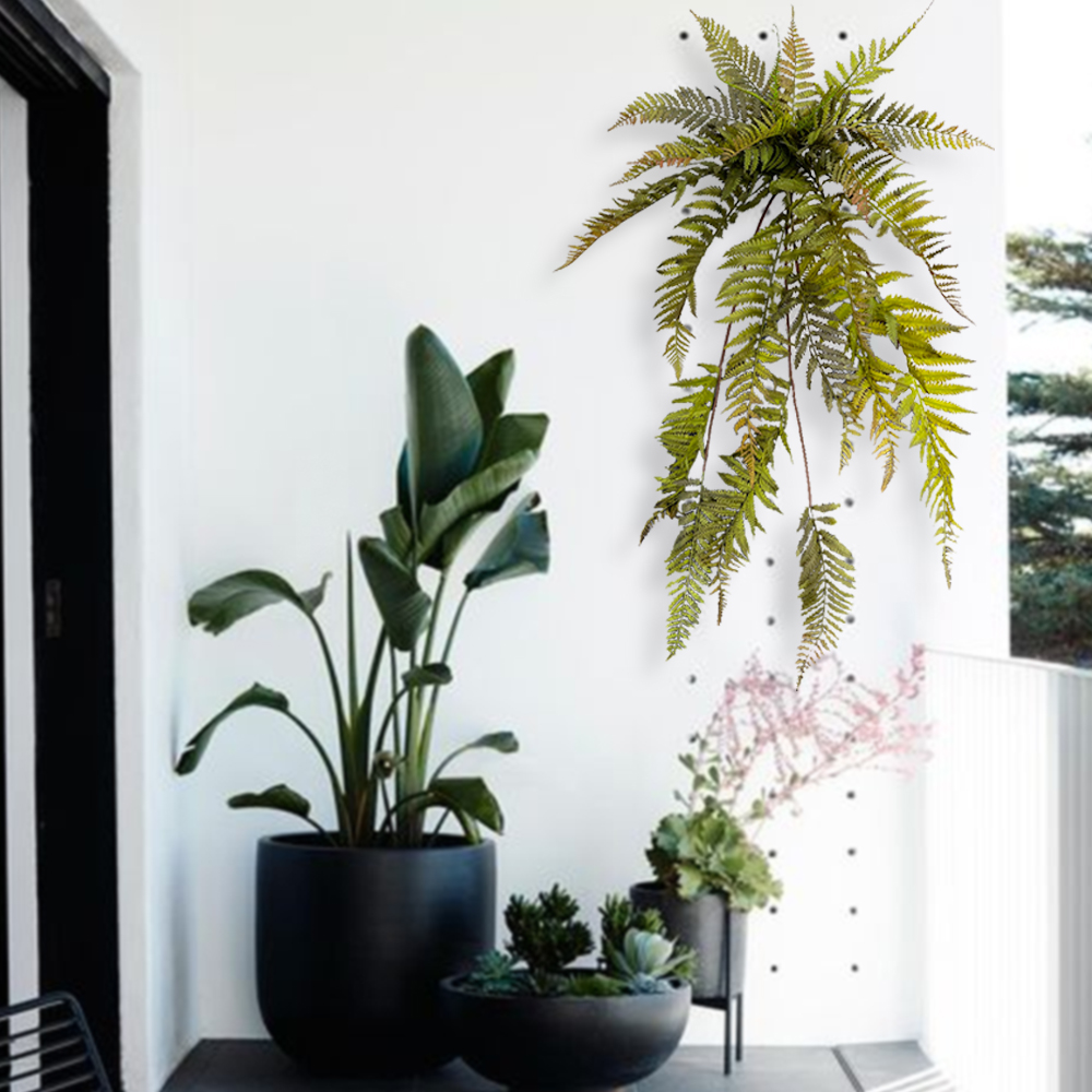 10 Persian Fern Leaves