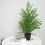 Artificial Norfolk Pine
