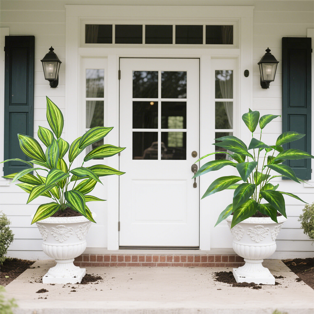 17 Green plant Brazilian taro leaves