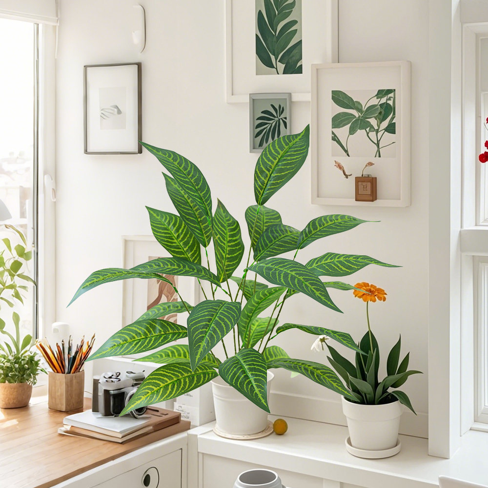 17 Green plant Brazilian taro leaves