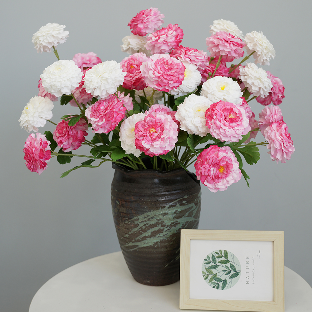 20 Simulation 3 koi fish