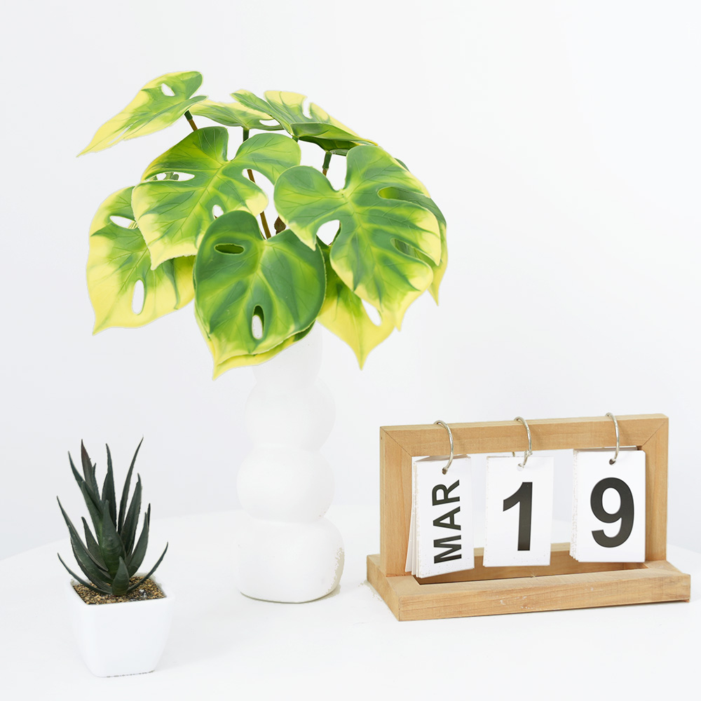 Simulation Turtle Back Leaf