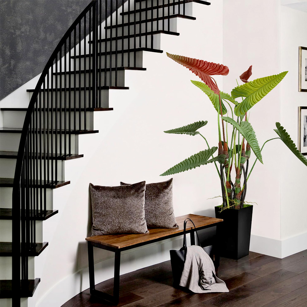 5 Tropical Palm Tree