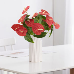 both ends Anthurium
