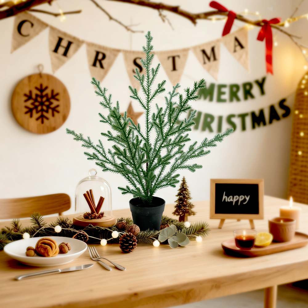 11 Christmas simulation Norfolk pine